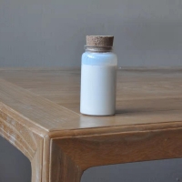 納米氧化鎂在藥物載體中的潛力探索